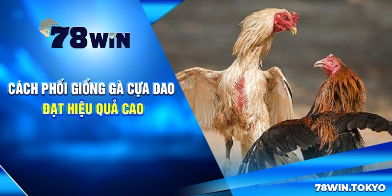 Giống Gà Cựa Dao – Đặc Điểm, Giá Trị Và Sức Chiến Đấu 7 Cách phối giống gà cựa dao đạt hiệu quả cao