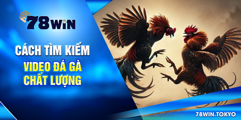 Video Đá Gà Trực Tiếp 78WIN - Livestream Sắc Nét, Full HD 9 Cách tìm kiếm video đá gà chất lượng