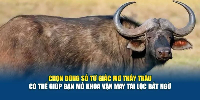 Mơ Thấy Trâu Nên Đánh Số Nào? Phân Tích Về Tâm Linh 2025 6 Chọn đúng số từ giấc mơ thấy trâu có thể giúp bạn mở khóa vận may tài lộc bất ngờ